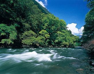 Roguelike游戏《Ragnar》Steam页面开放 发行日期待定